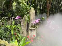 -呀诺达热带雨林