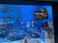 -烟台海昌鲸鲨海洋公园