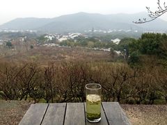 -香雪海