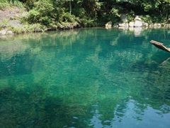 -石台牯牛降景区