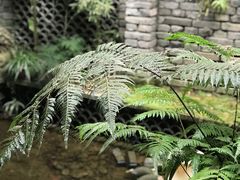 -鱼桥巷·美学川菜