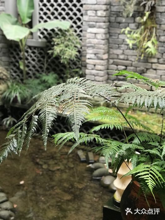 鱼桥巷·美学川菜图片