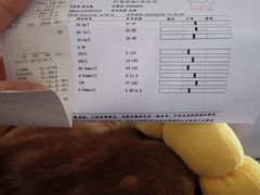 -爱侣·安琦尔宠物医院·中兽医针灸·心内科·狂犬免疫点(宝山区院)