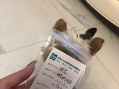 -美联众合动物医院·24h转诊中心