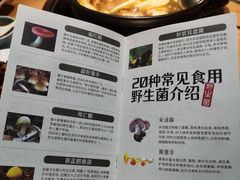 -一朵菌·野生菌探索家火锅(南亚店)