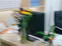 -自然之声助听器·呼吸机(康桥旗舰店)