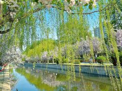 -海棠花溪(元大都城垣遗址公园)