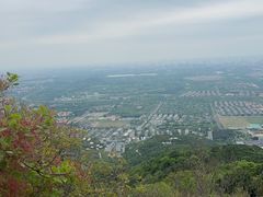 -北京西山国家森林公园