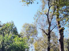 -长春市南湖公园