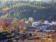 -塔川景区