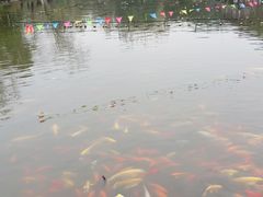 -北湖公园
