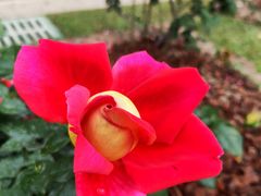 -人民公园(罗湖区)