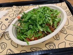 -油梨树 AVOCADO TREE(亮马桥店)