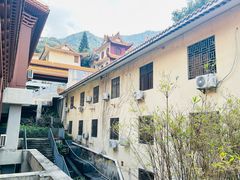 -深圳仙湖植物园