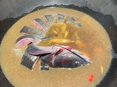 -桃源村铁锅炖鱼(体育馆道店)