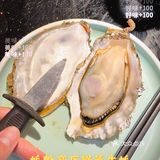 开了4年的高压锅生蚝馆！排长龙都要吃！