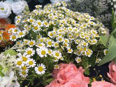 -爱尚幸福鲜花(上地实体店)