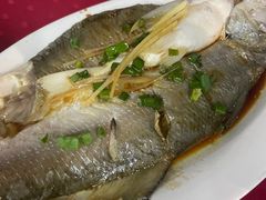 -蛇口康乐快餐鱼仔档(翠苑小区店)