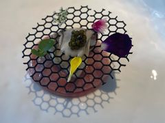 -九献创意菜·牛排馆(亮马河花园店)