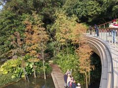-云溪植物园