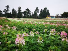 -保利石象湖景区