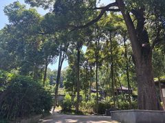 -成都老君山