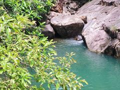 -广州白江湖森林公园