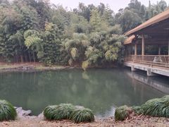 -杭州植物园