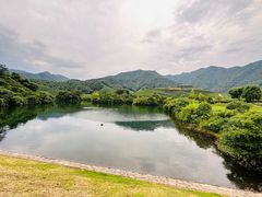 -龙坞茶村