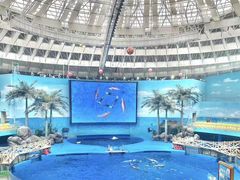 -海合安成都极地海洋公园