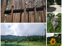 -武陵山森林公园
