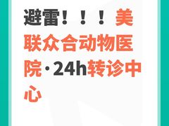 -美联众合动物医院·24h转诊中心
