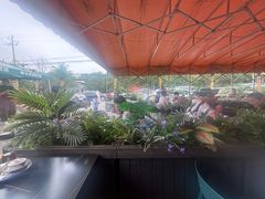 -九寨沟石锅鱼(沣峪口二十年店)