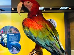 -国家自然博物馆