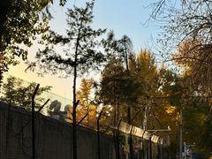 -北山街历史文化街区