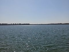 -丁香湖公园