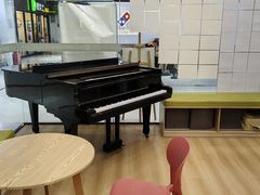 -珠江钢琴艺术中心(文一路店)