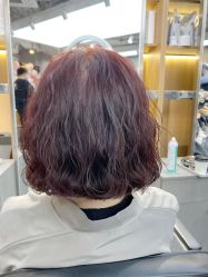 点击看大图 -SY COLOUR专业烫染