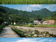 -黔灵山公园