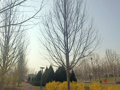 -瀛海足球主题公园