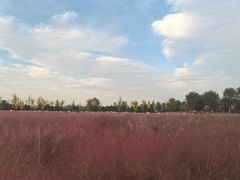 -汉长安城未央宫国家考古遗址公园