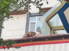 -吉曲花园餐厅