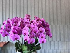 -一澜江宴·江景地标楚菜(江滩公园店)