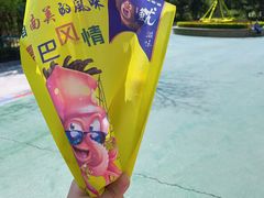 -沈阳方特欢乐世界