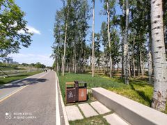 -坝河休闲公园