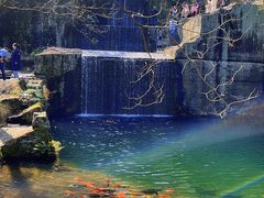 -千岛湖东南湖区
