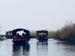 -白洋淀风景区