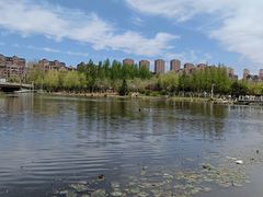 -前关湿地公园