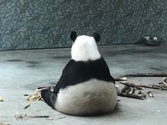 -西安秦岭野生动物园