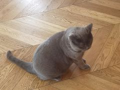 -Me Coffee下午茶艺术空间